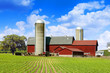 Cows Milk Farm