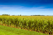 American Countryside