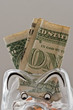 Piggy Bank and Dollars II