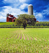 American Countryside