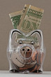 Piggy Bank and Dollars III
