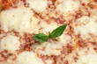 Foto: Pizza Margherita Pizza Margherita