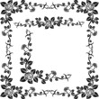 rose frame, corner and border