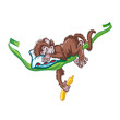 Image of sleeping monkey on the vine.