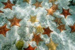 Photo: Plenty of starfish on a sandy ocean floor Plenty of starfish on a sandy ocean floor