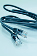 network data cable isolated on the white background..