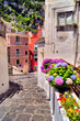Colorful flower lined street in a coastal village in Italy