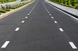 Beautiful road with garden