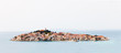 Habitable Island
