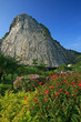Carved buddha image on the cliff at Khao Chee Jan, Pattaya, Thai