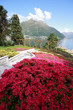 giardino fiorito a Faggeto Lario - lago di Como