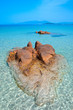 Paysage de plage en Corse