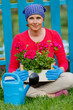 Gardening, planting - woman with geranium flowers
