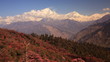 Dhaulagiri peak with rhododendrons, Himalayas. Time Lapse.