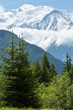 Mont Blanc mountain massif (view from Plaine Joux outskirts)