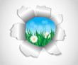 hole in the paper which grass and flowers