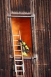 brave firefighters with oxygen cylinder goes into a house throug