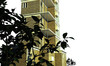 Illustration: brick building brick building