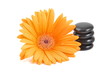 Blume und Spa Steine