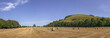 south downs