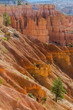 Bryce Canyon National Park nello Utah