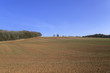 Photo: field field