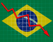The Brazilian flag