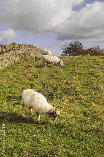 Photo: countryside hills countryside hills
