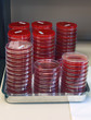 Microbiological media
