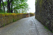 Calle mojada tras la lluvia
