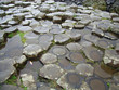 la calzada del gigante Belfast - The Giant's Causeway