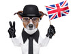 Photo: british dog banner british dog banner
