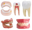 Teeth dental prostheses