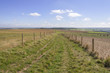 south downs