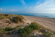 Beach Dune