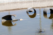 Waste water