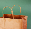 paper bag on a green background