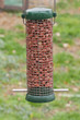 Bird feeder in the garden