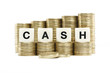 CASH on gold coins on white background