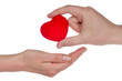Photo: Male and female hands giving heart Male and female hands giving heart
