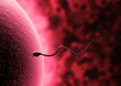 sperm and egg cell - Natural insemination -
