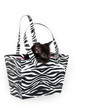 Black kitten in a bag