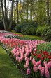 Photo: Colorful park in spring Colorful park in spring