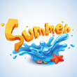 Vector: summer splash summer splash