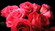 Raindrop falling on flowers