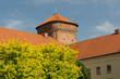 Cracovie wawel