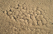 Dry Cracked Land