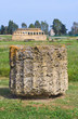 Archaeological Park. Metaponto. Basilicata. Italy.