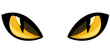 Vector: cat eyes vector illustration cat eyes vector illustration