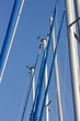 Foto: yacht masts yacht masts